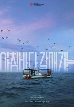 免费在线观看《晨海的海鸥》