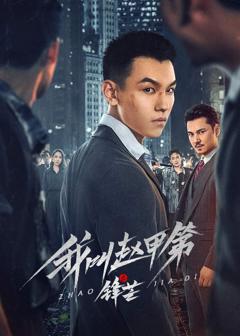 免费在线观看完整版国产剧《我叫赵甲第之锋芒》