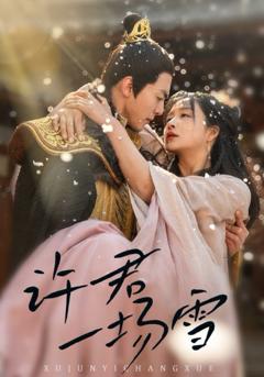 免费在线观看完整版短剧《许君一场雪》