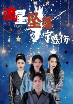 免费在线观看完整版短剧《流星坠落宁感伤》