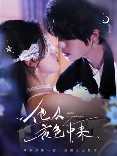 免费在线观看完整版短剧《他从夜色中来》