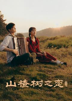 免费在线观看《山楂树之恋》