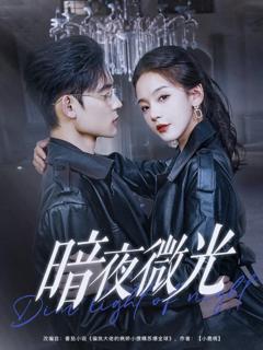 免费在线观看完整版短剧《暗夜微光》