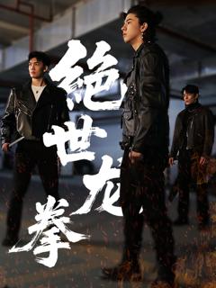 免费在线观看完整版短剧《绝世龙拳》