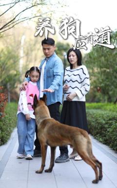 免费在线观看完整版短剧《养狗应有道》