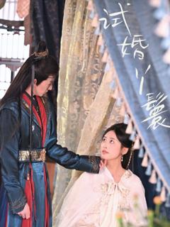 免费在线观看完整版短剧《试婚丫鬟》