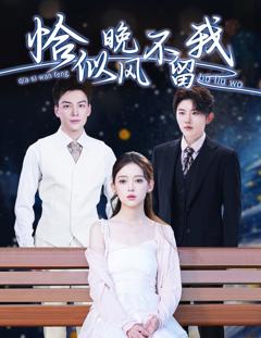 免费在线观看完整版短剧《恰似晚风不留我（弃他如风）》