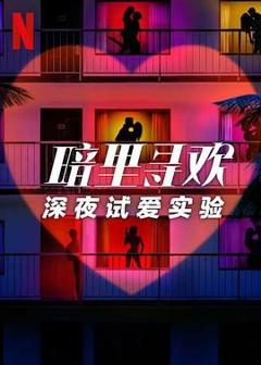 免费在线观看《暗里寻欢：深夜试爱实验》