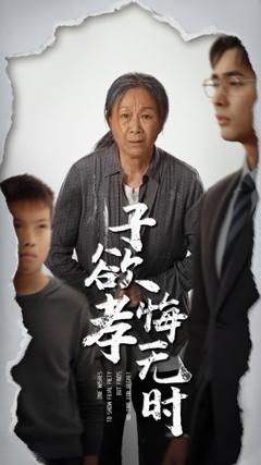 免费在线观看完整版短剧《子欲孝悔无时》