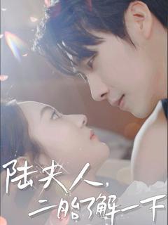 免费在线观看完整版短剧《陆夫人，二胎了解一下》
