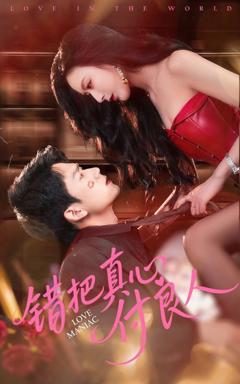 免费在线观看完整版短剧《错把真心付良人》