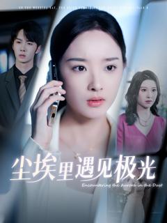 免费在线观看完整版短剧《尘埃里遇见极光》