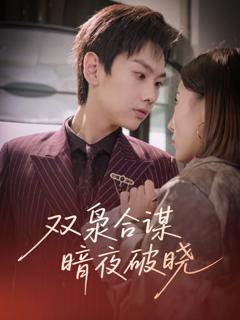 免费在线观看完整版短剧《双枭合谋暗夜破晓》