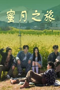 免费在线观看完整版短剧《蜜月之旅》