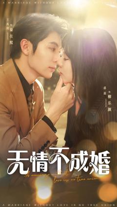 免费在线观看完整版短剧《无情不成婚》