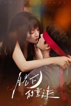 免费在线观看完整版短剧《月光下的重逢》