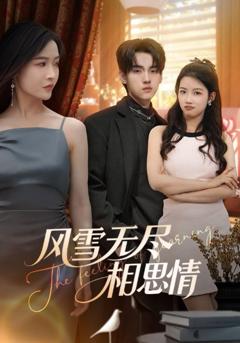 免费在线观看完整版短剧《风雪无尽相思情》
