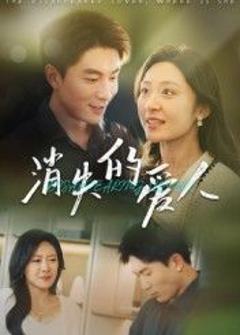免费在线观看完整版国产剧《消失的爱人》