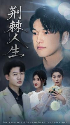 免费在线观看完整版短剧《荆棘人生》