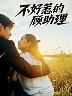 免费在线观看完整版短剧《不好惹的顾助理》
