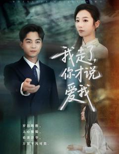 免费在线观看完整版短剧《我走了你才说爱我》