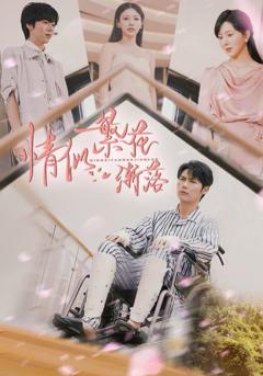 免费在线观看完整版短剧《情似繁花渐落》