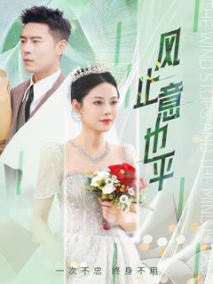免费在线观看完整版短剧《风止意也平》