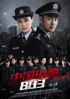 免费在线观看完整版国产剧《中国刑警803英雄本色》
