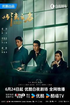 免费在线观看完整版国产剧《以法之名》