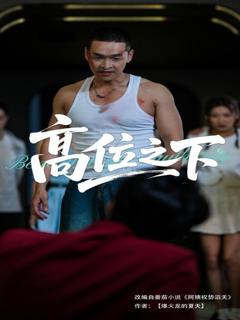 免费在线观看完整版短剧《高位之下》