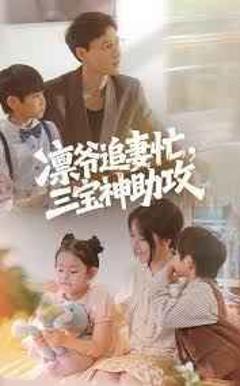 免费在线观看完整版短剧《凛爷追妻忙三宝神助攻》