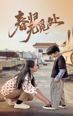 免费在线观看完整版短剧《春归无觅处》