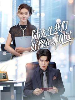免费在线观看完整版短剧《陆先生我们好像在哪见过》