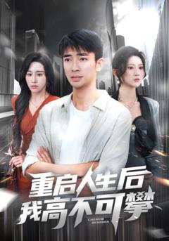 免费在线观看完整版短剧《重启人生后我高不可攀》