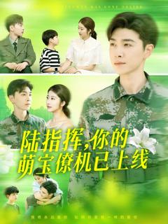免费在线观看完整版短剧《陆指挥你的萌宝僚机已上线》