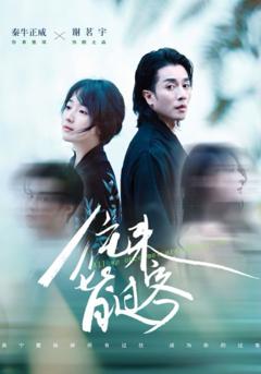免费在线观看完整版短剧《往来皆过客》