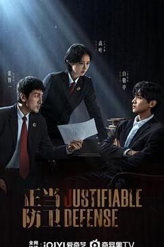 免费在线观看完整版国产剧《正当防卫》