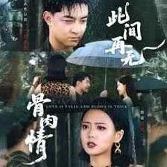免费在线观看完整版短剧《此间再无骨肉情》