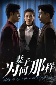 免费在线观看完整版短剧《妻子为何那样》