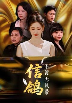免费在线观看完整版短剧《信鸽不渡无风带》
