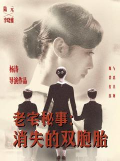 免费在线观看完整版短剧《老宅秘事消失的双胞胎（消失的孩子）》