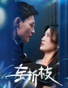 免费在线观看完整版短剧《妄折枝》