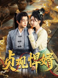 免费在线观看完整版短剧《贞观悍婿》