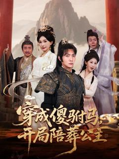 免费在线观看完整版短剧《穿成傻驸马开局陪葬公主》