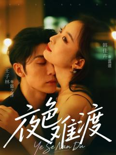 免费在线观看完整版短剧《夜色难渡》