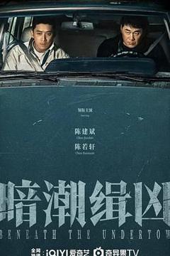 免费在线观看完整版国产剧《暗潮缉凶》