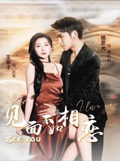 免费在线观看完整版短剧《见面不如相恋》