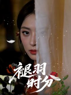 免费在线观看完整版短剧《褪羽时分》