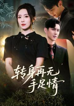 免费在线观看完整版短剧《转身再无手足情》