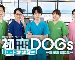 免费在线观看完整版日韩剧《初恋UNDER DOGs 败犬与初恋》